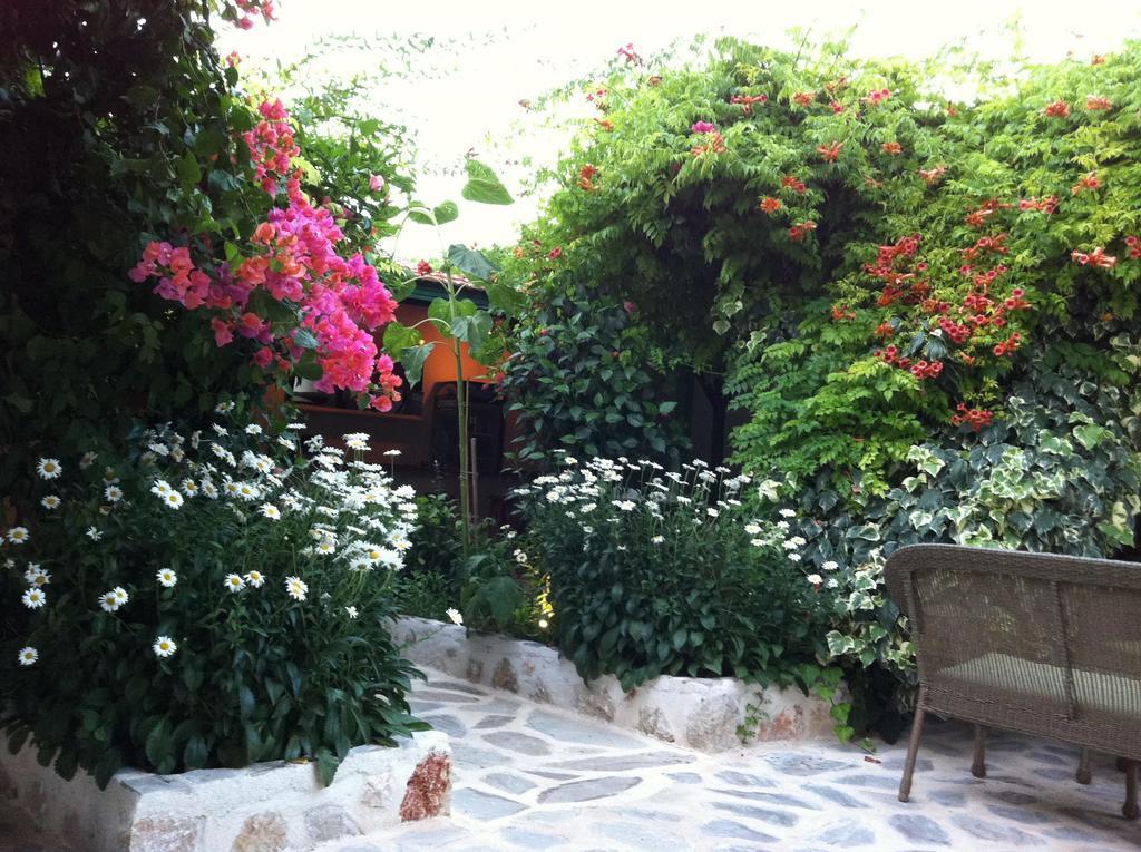 Dardanos Hotel Gelemis Exterior photo